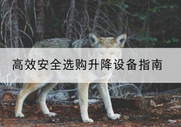 青秀升降货梯厂家推荐-*安全选购升降设备指南