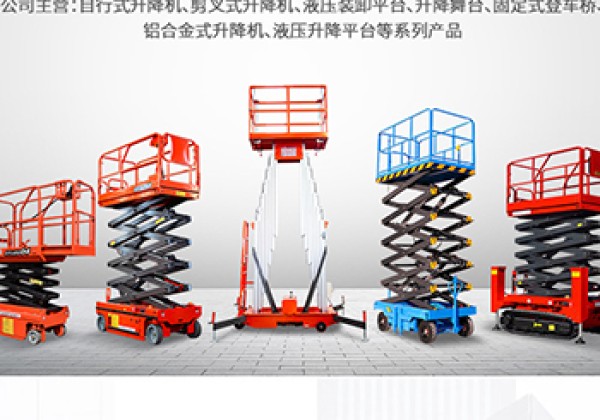 青秀​出口成为核心增长引擎
