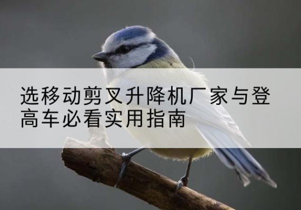 青秀电动升降机厂家-选移动剪叉升降机厂家与登高车必看实用指南