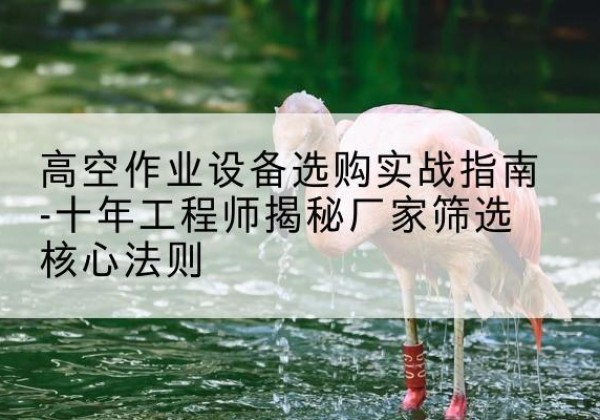 青秀剪叉式升降机厂家-高空作业设备选购实战指南-十年工程师揭秘厂家筛选核心法则